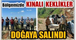 KINALI KEKLİKLER DOĞAYA SALINDI