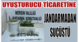 Uyuşturucu Madde Ticareti Yapan Şahsa Jandarmadan Suçüstü