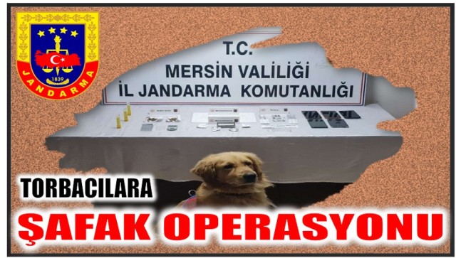 Jandarmadan Şafak Operasyonu; 5 Torbacı Gözaltına Alındı