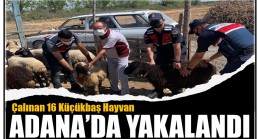 Çalınan Hayvanlar Adana’da Bulunarak Sahibine Teslim Edildi